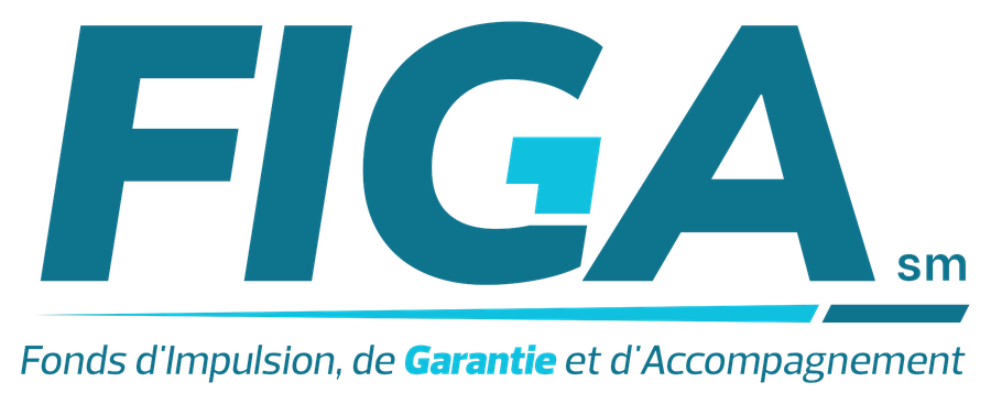 FIGA SM
